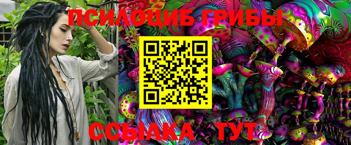 Галлюциногенные грибы GOLDEN TEACHER Нефтекумск