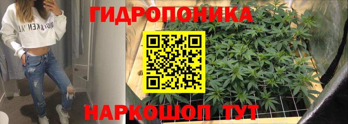 Марихуана индика  Шишки марихуана гибрид  Вход с VPN  Нефтекумск  Шишки марихуана конопля  Марихуана AK-47 